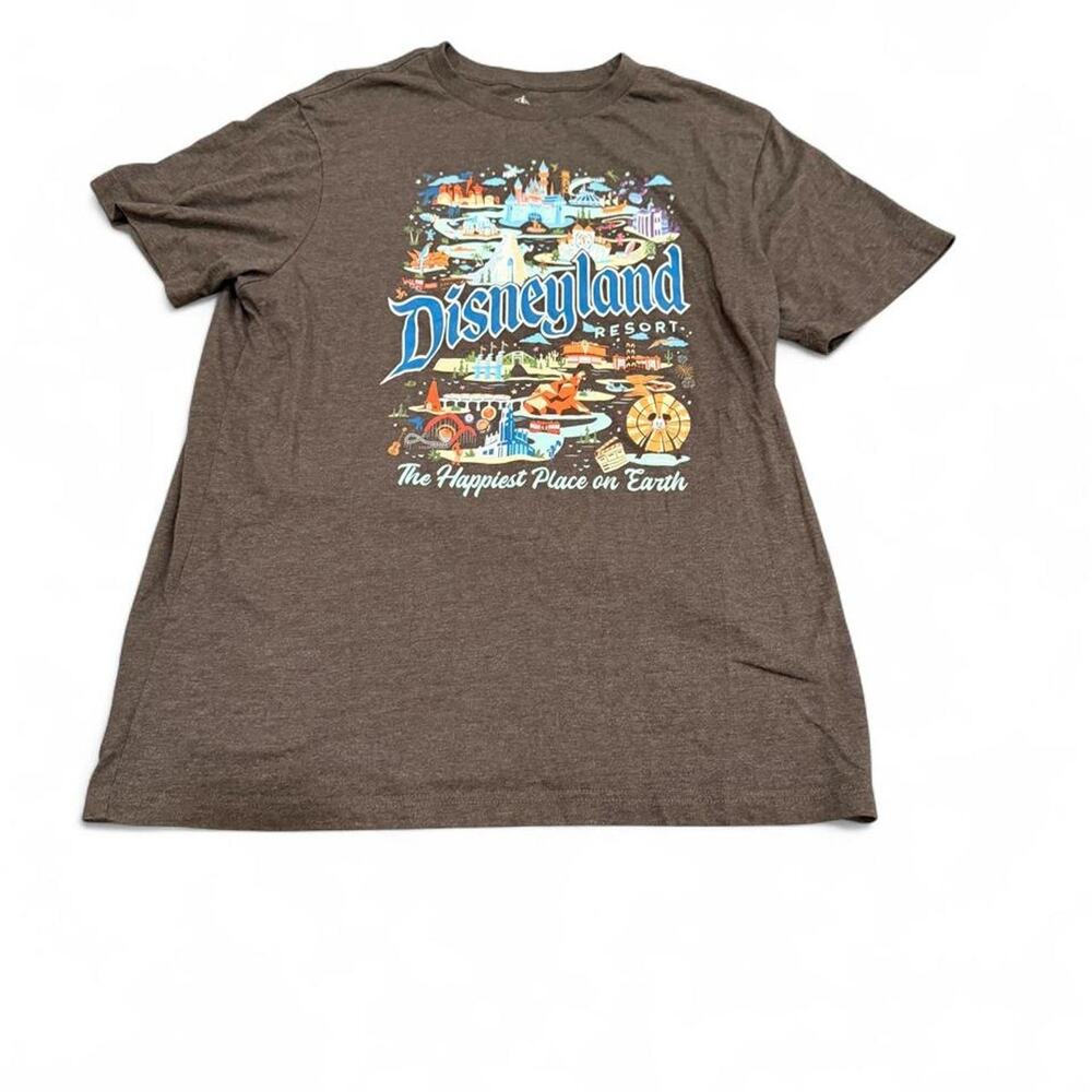 Disney Parks Disneyland Resort Opening Days Attractions Graphic T-Shirt Gray L